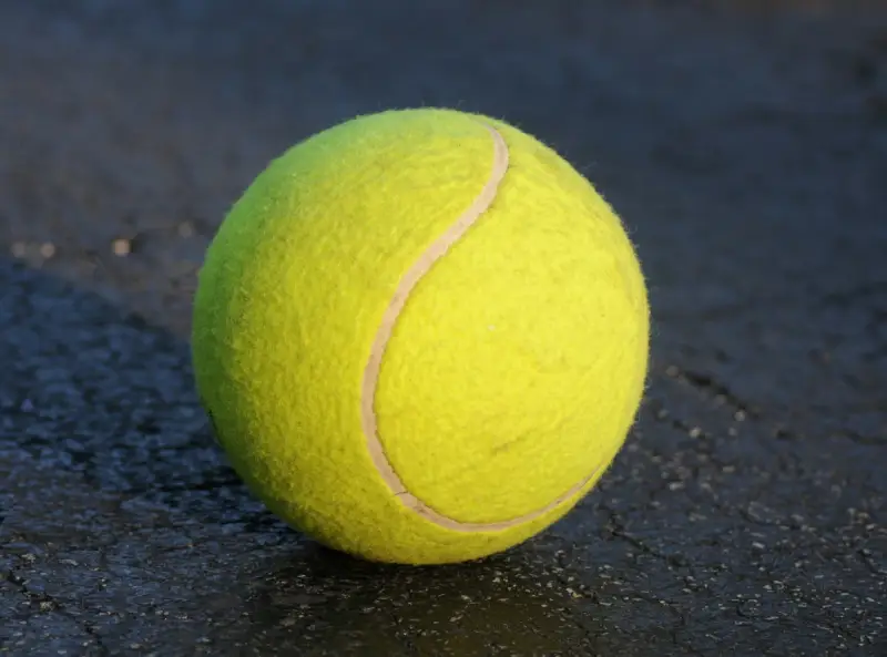 Bola Tenis Premium Training Court Ball